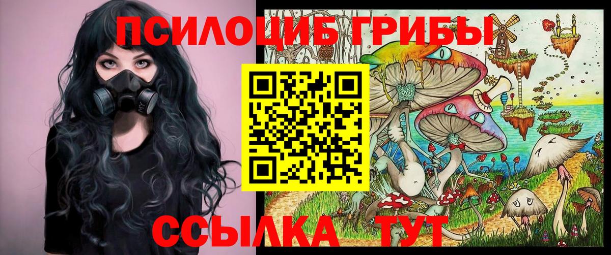 Псилоцибиновые грибы прущие грибы  Вход с VPN  Полысаево 